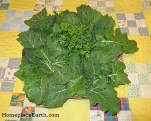 collards-parsley-kale-BLOG